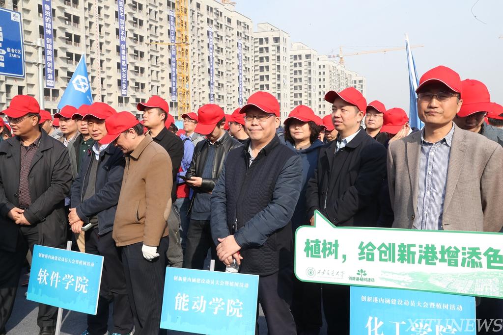 点击查看大图