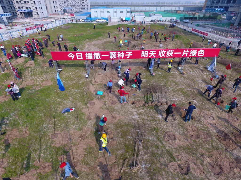 点击查看大图
